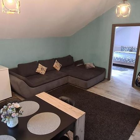 Comfort Home Apartment 3 Petroszany Zewnętrze zdjęcie