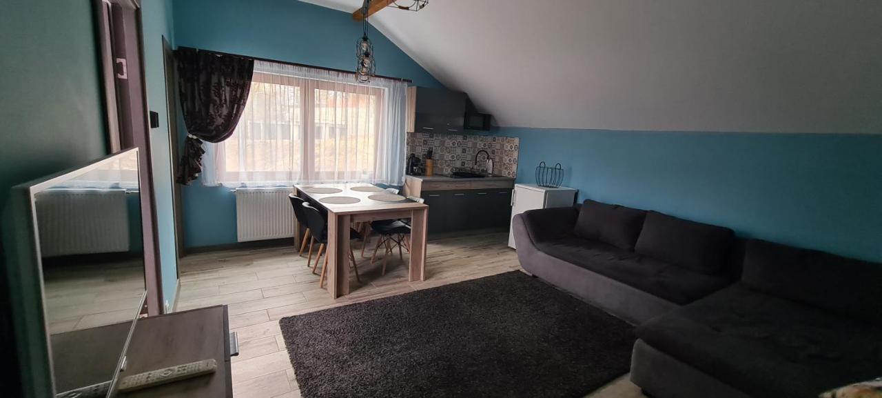 Comfort Home Apartment 3 Petroszany Zewnętrze zdjęcie